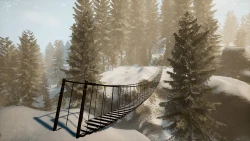 Скриншот к игре BIGFOOT