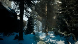 Скриншот к игре BIGFOOT