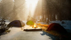 BIGFOOT Screenshots