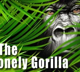 The Lonely Gorilla