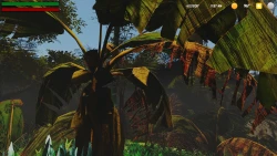 The Lonely Gorilla Screenshots