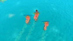 Скриншот к игре Pirates of the Polygon Sea