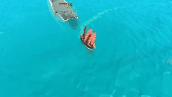Pirates of the Polygon Sea Screenshots