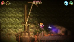 Скриншот к игре Battle Princess Madelyn