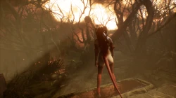 Succubus Screenshots