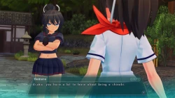 Senran Kagura: Burst Re:Newal Screenshots
