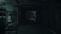 Скриншот к игре Visage