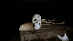 Palmyra Orphanage Screenshots