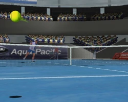 Скриншот к игре Perfect Ace: Pro Tournament Tennis