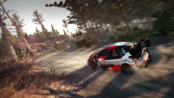 Скриншот к игре WRC 8