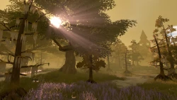 Pine Screenshots
