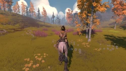Pine Screenshots