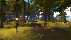 Pine Screenshots