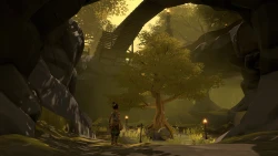 Pine Screenshots