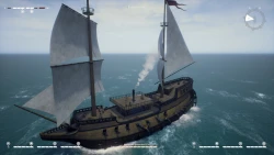 Feral Blue Screenshots