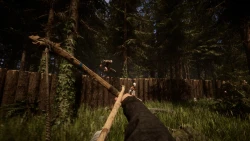 Sons of the Forest Screenshots
