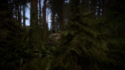 Sons of the Forest Screenshots