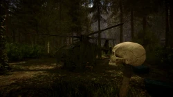 Sons of the Forest Screenshots