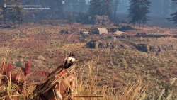 Скриншот к игре This Land Is My Land