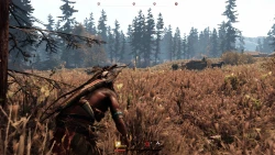 Скриншот к игре This Land Is My Land