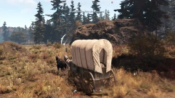 Скриншот к игре This Land Is My Land