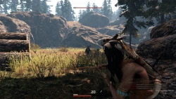 Скриншот к игре This Land Is My Land