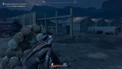 Скриншот к игре This Land Is My Land