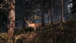 This Land Is My Land Screenshots