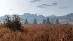 This Land Is My Land Screenshots