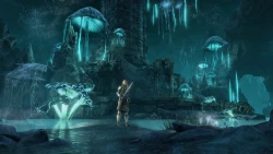 Скриншот к игре The Elder Scrolls Online: Greymoor