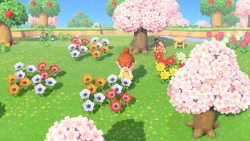 Скриншот к игре Animal Crossing: New Horizons