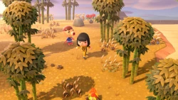 Animal Crossing: New Horizons Screenshots
