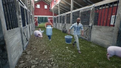 Скриншот к игре Ranch Simulator