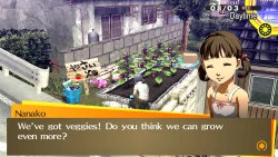 Скриншот к игре Persona 4