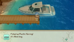 Story of Seasons: Friends of Mineral Town Screenshots