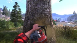 Lumberjack's Dynasty Screenshots