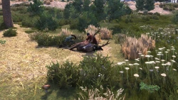 Lumberjack's Dynasty Screenshots