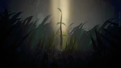 Sunlight Screenshots