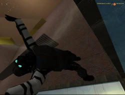 Half-Life 2: Deathmatch Screenshots