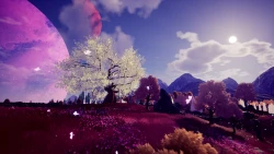 The Companion Screenshots