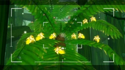 Beasts of Maravilla Island Screenshots