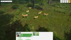 Natural Instincts Screenshots