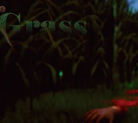 The Grass
