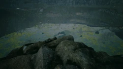 World Of Stalkers Screenshots