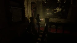 Tormented Souls Screenshots