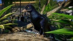Prehistoric Kingdom Screenshots