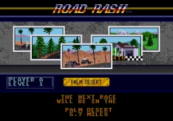 Road Rash Screenshots