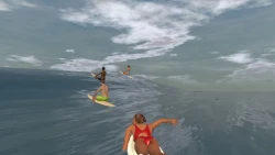 Скриншот к игре The Endless Summer: Search for Surf