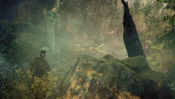Nero (2021) Screenshots