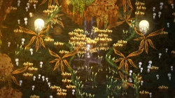 Dap Screenshots